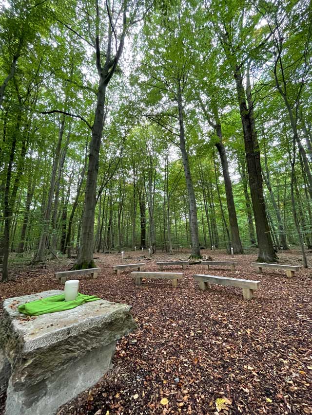 Waldbestattung